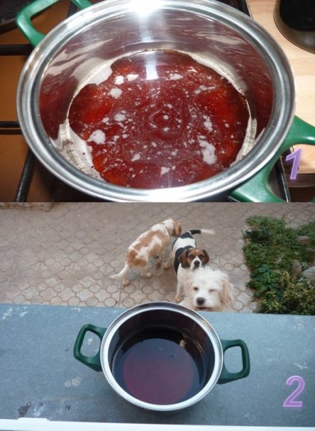 Pomarančový likér II. (fotorecept) - obrázok 7