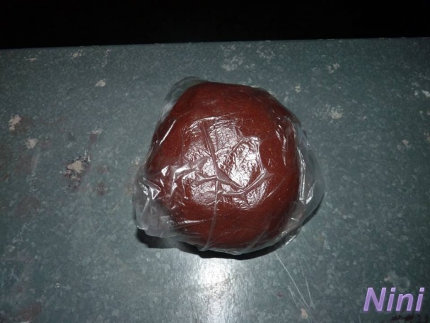 Ocelky (fotorecept) - obrázok 4