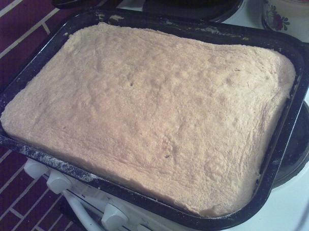 Jahodový koláč so želatínou - obrázok 5