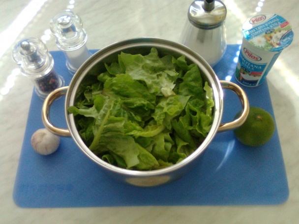 Šalátovica (fotorecept) - obrázok 1