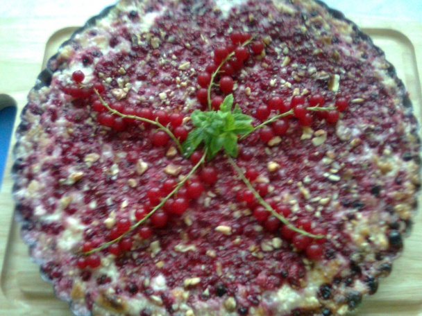 Tvarohovo-ríbezľový koláč (fotorecept) - obrázok 8