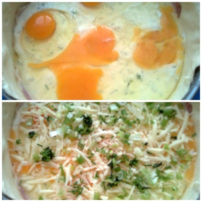 Pie a la hemendex (fotorecept) - obrázok 4