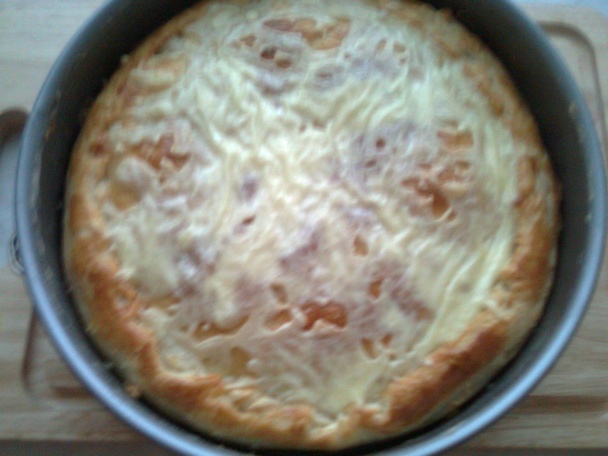 Pie a la hemendex (fotorecept) - obrázok 7