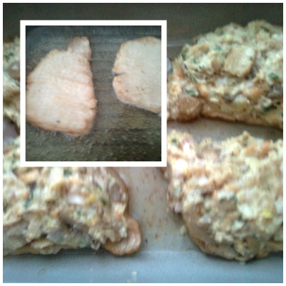 Hrbaté mäso (fotorecept) - obrázok 4