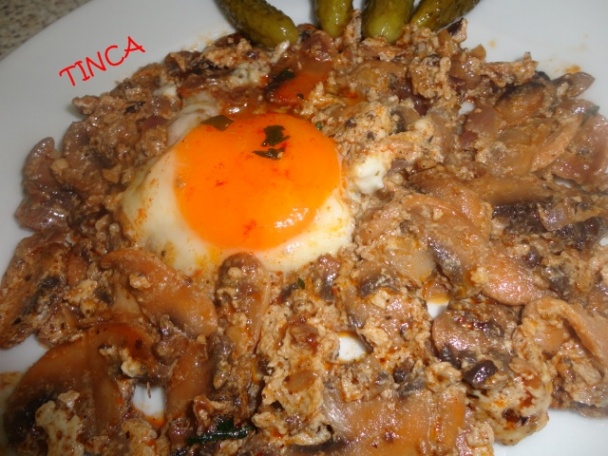 Hubová panvica - obrázok 2