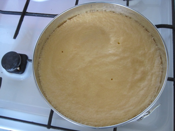 Tvarohovo-smotanová kiwi torta - obrázok 6