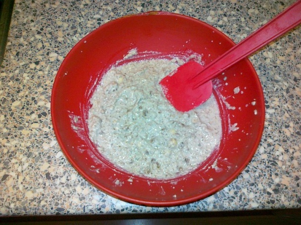 Proteínová tyčinka (fotorecept) - obrázok 3