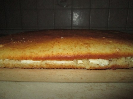 Mliečny rez - obrázok 3