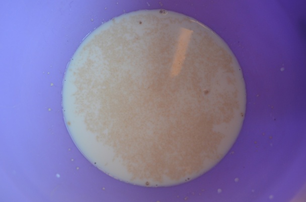 Tigrí chlieb (fotorecept) - obrázok 2