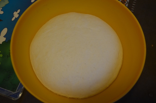 Tigrí chlieb (fotorecept) - obrázok 6