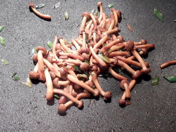 Kačacie prsia s hubami Shimeji (fotorecept) - obrázok 7