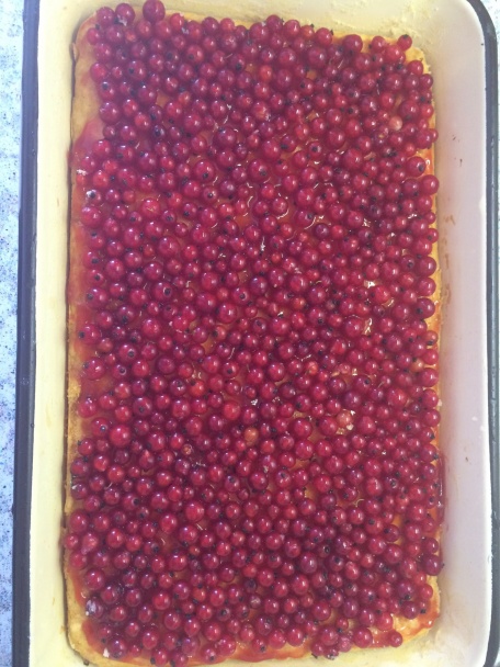 Ríbezľová dobrota (fotorecept) - obrázok 2