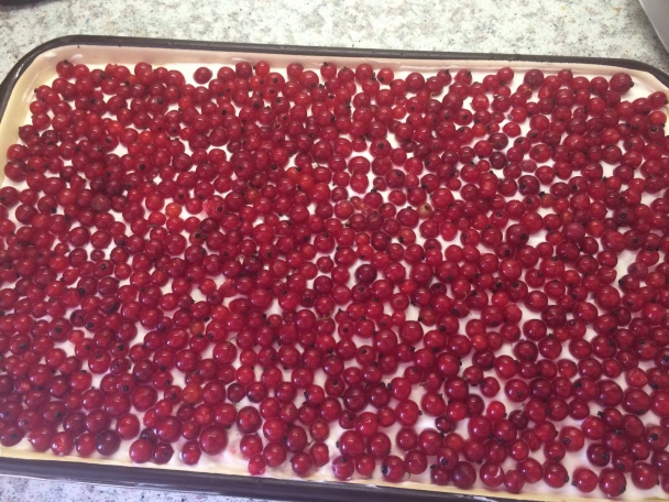 Ríbezľová dobrota (fotorecept) - obrázok 4