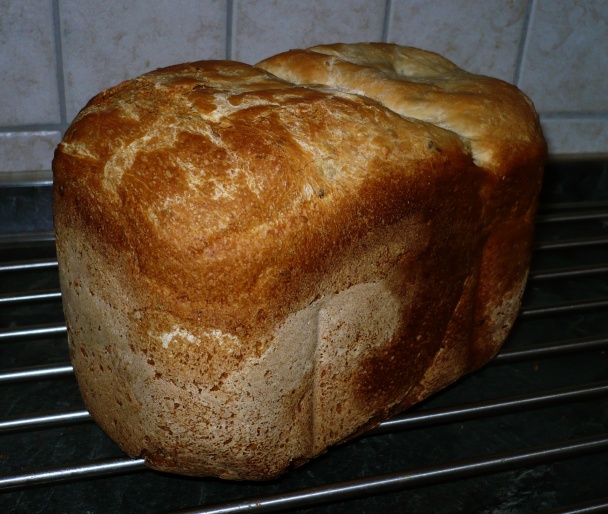 Pivný chlebík (obkukaný) - obrázok 1