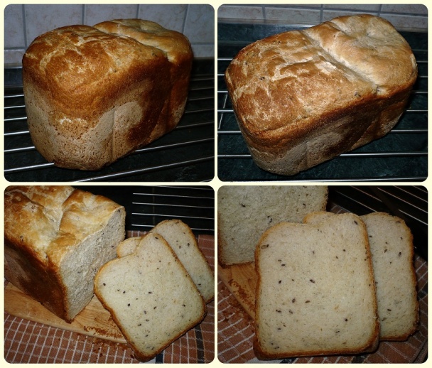 Pivný chlebík (obkukaný) - obrázok 3