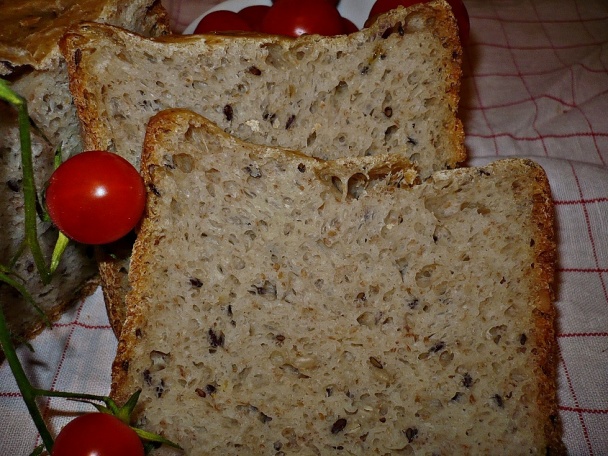 Darebný chlebík - obrázok 4