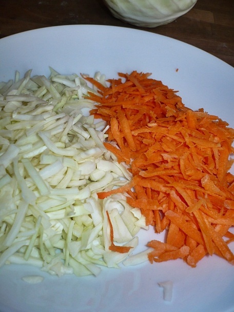 Jarné rolky /spring rolls/ (fotorecept) - obrázok 1