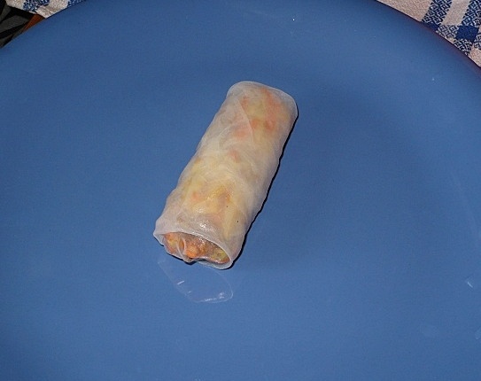 Jarné rolky /spring rolls/ (fotorecept) - obrázok 8