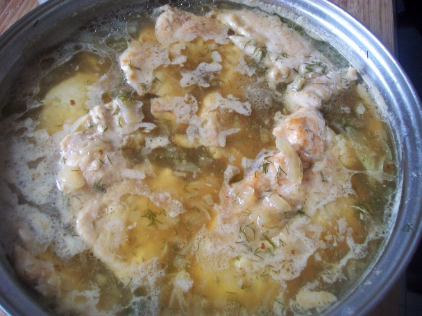 Kuracie prsia v kôprovo-medovej omáčke (fotorecept) - obrázok 6