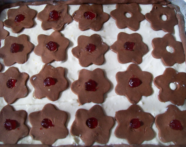 Kvietkovaný tvarohovník (fotorecept) - obrázok 7