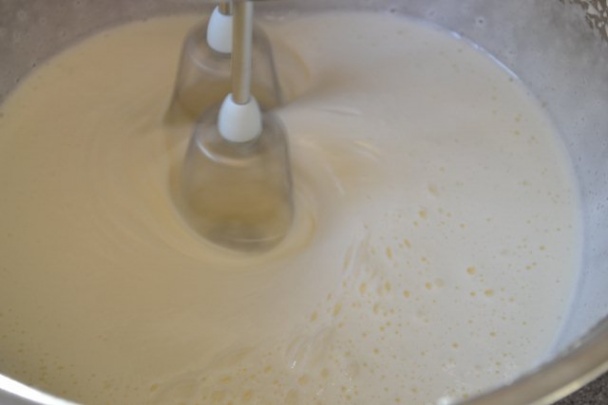 Tvarohovo-ovocný zákusok(fotorecept) - obrázok 1