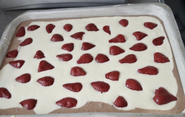 Tvarohovo-ovocný zákusok(fotorecept) - obrázok 6