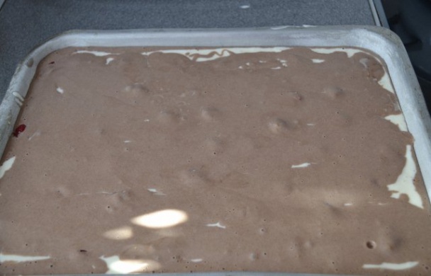 Tvarohovo-ovocný zákusok(fotorecept) - obrázok 7