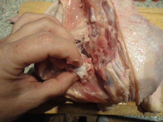 Galantína - obrázok 2