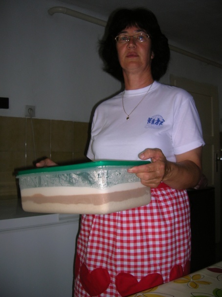 Zmrzlina a zmrzlinová torta - obrázok 4