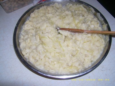 Staromoravská kačica - obrázok 7