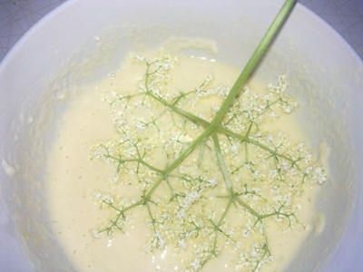 Bazové kvety vo vínovom cestíčku - obrázok 2