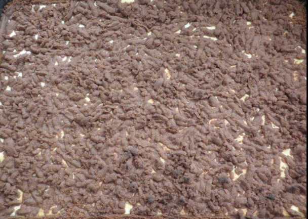 Tvarohovo-kakaový strúhaný koláč - obrázok 7