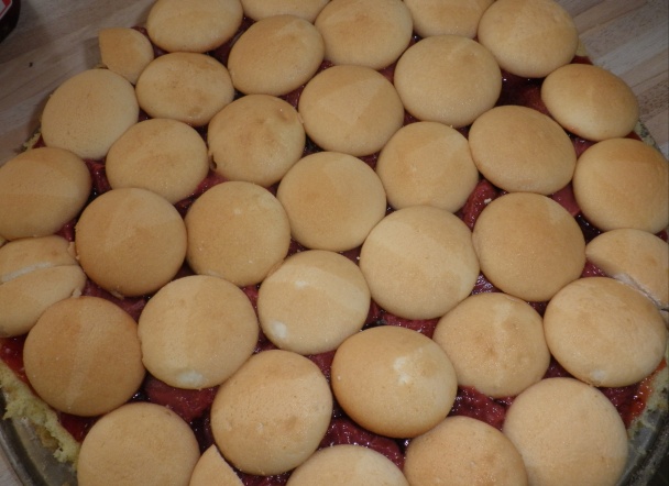 Matejkova prvonarodeninová (fotorecept) - obrázok 4