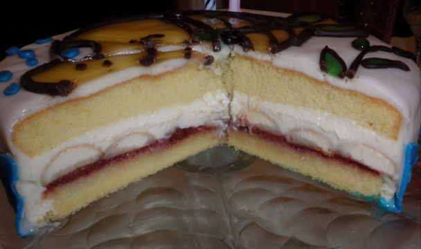 Matejkova prvonarodeninová (fotorecept) - obrázok 11