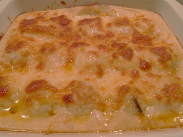 Plnené mušle - conchiglioni (fotorecept) - obrázok 4