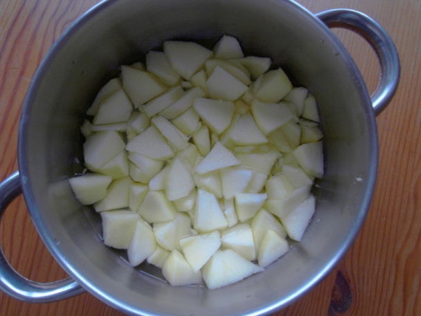 Čerstvá jablková výživa - obrázok 1