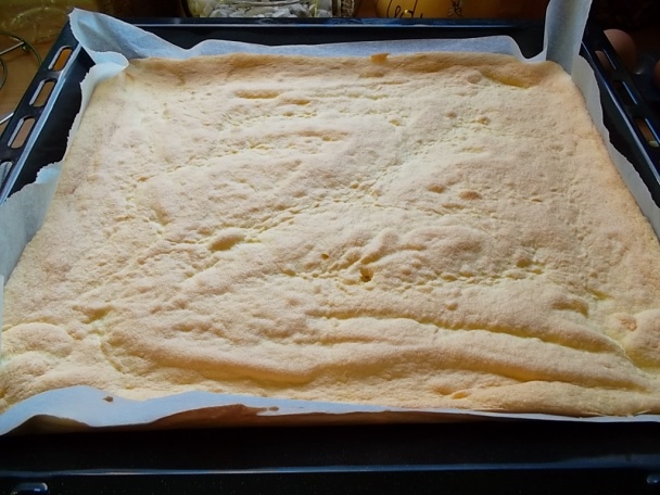 Ružový sen - obrázok 1