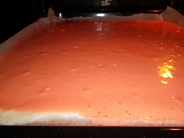 Kokosový sen - všetko na jednom plechu - obrázok 2