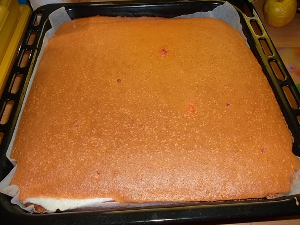 Kokosový sen - všetko na jednom plechu - obrázok 3