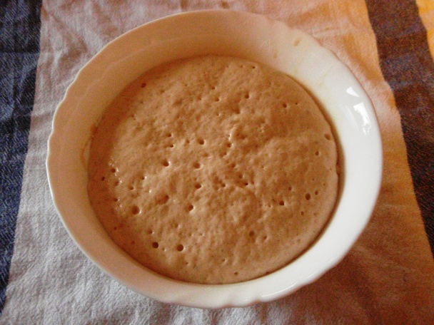 Cmarový chlebík - obrázok 1