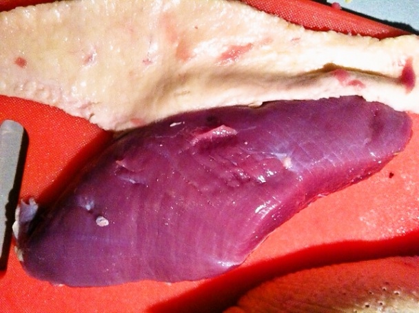 Sušené prsia z husokačky (fotorecept) - obrázok 1