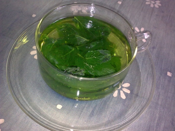 Čatní po Slovensky RADULIENKE - obrázok 3