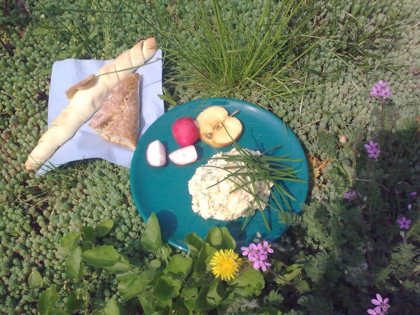 Tvarohovo-nivová nátierka mazlíčková - obrázok 7