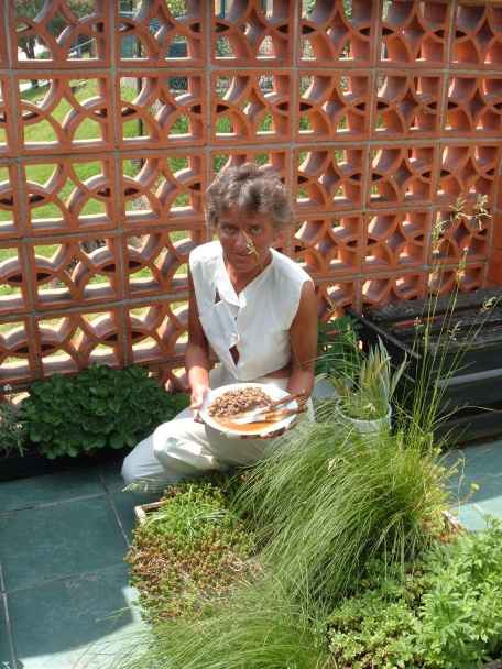 Vínnozeleninové kuracie pečienky Ošialenstvo (fotorecept) - obrázok 10