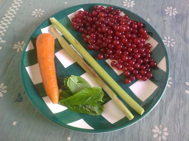 Slovenské letné čatní ReKaRi (fotorecept) - obrázok 2