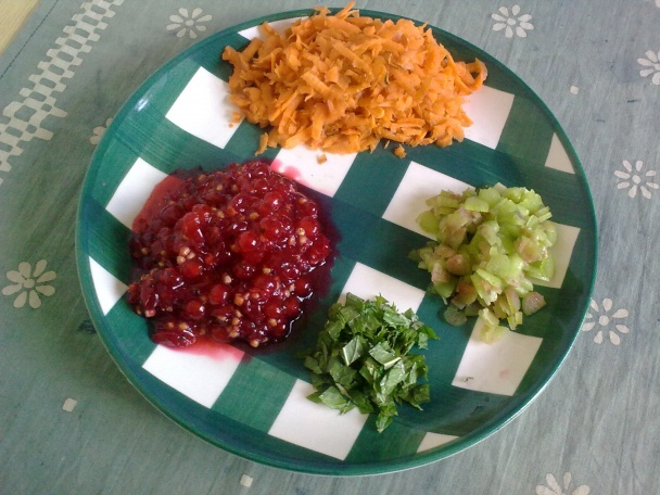 Slovenské letné čatní ReKaRi (fotorecept) - obrázok 3