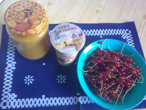 Kokteilové acidko Ríbezliatko - obrázok 1