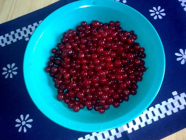 Kokteilové acidko Ríbezliatko - obrázok 2