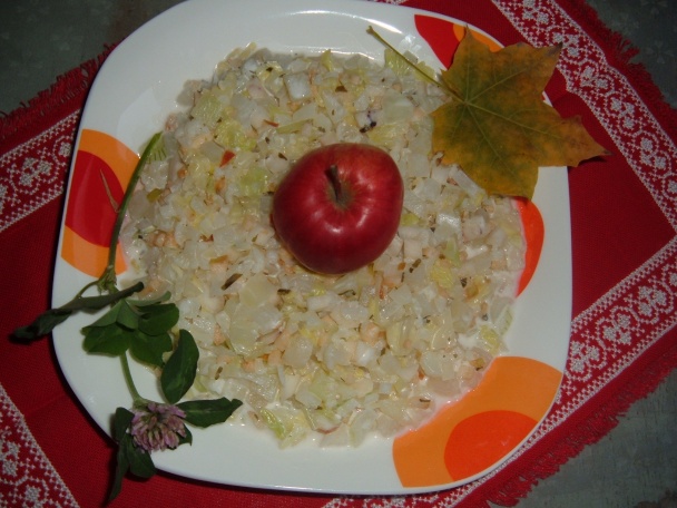 Zimný dressingový šalát CENCULIAK - obrázok 9