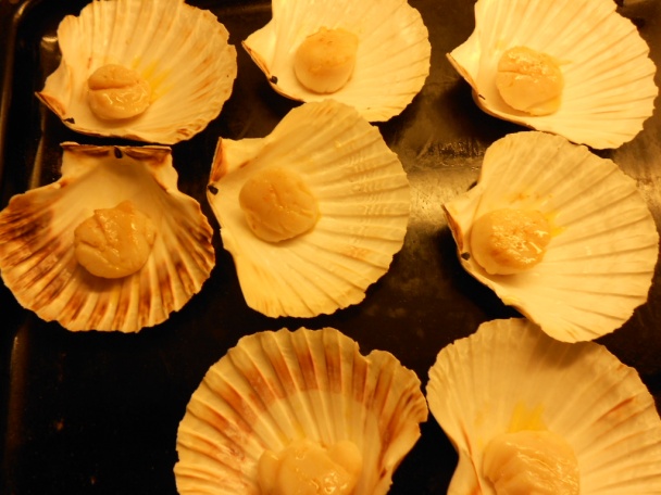 Mušle svätého Jakuba so šampiňónmi - obrázok 10